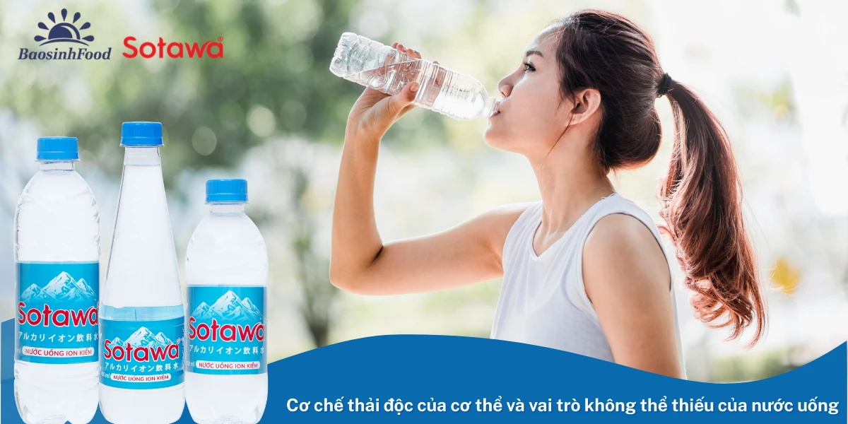 Cơ chế thải độc của cơ thể và vai trò không thể thiếu của nước uống